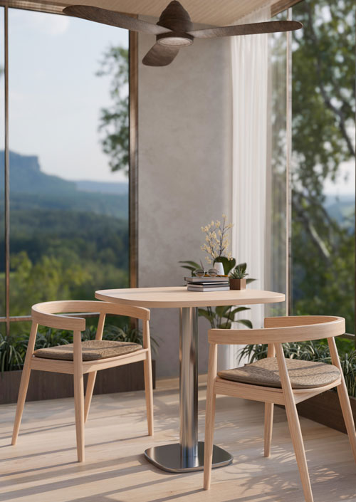 Services-ceilingfan2